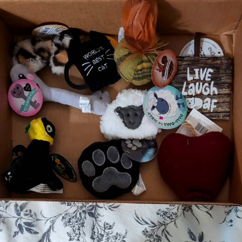 🎉HOST PICK 🎉 Lot of Assorted Cat Toys